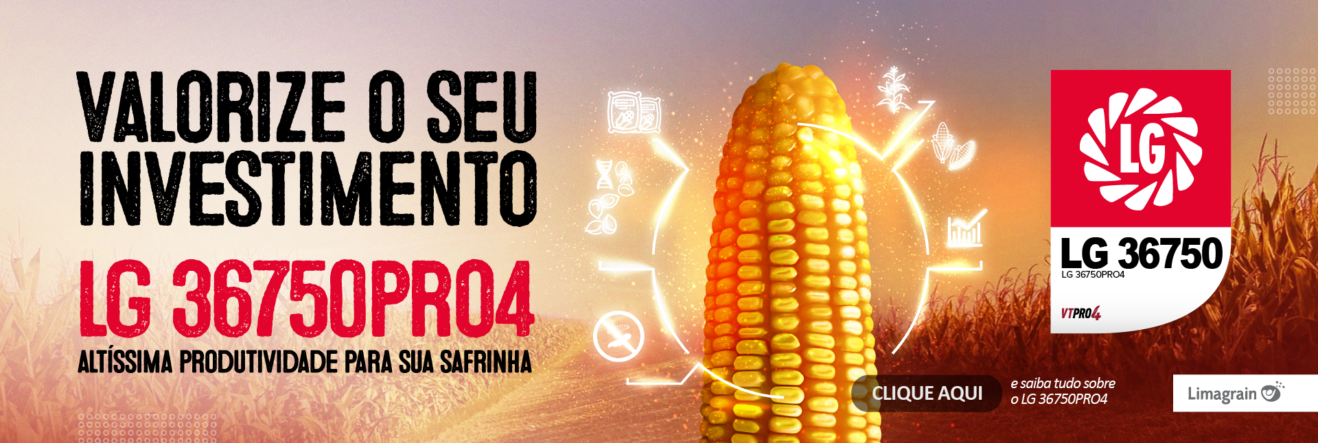 Híbrido LG 36750