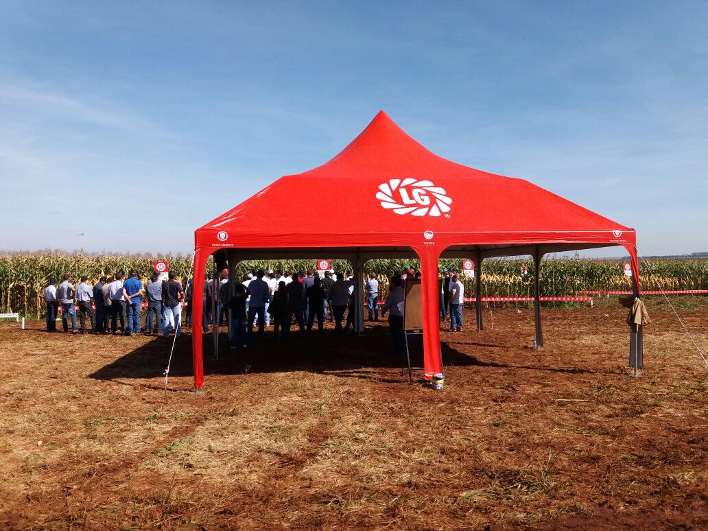 Dia de Campo - Mato Grosso do Sul