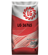 lg-36765